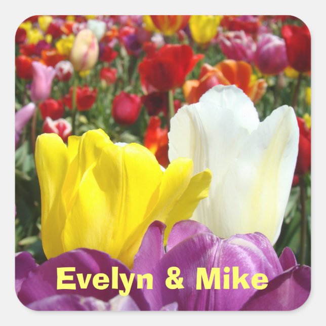 Cuadrada Su nombre pegatina Tulip Flores su nombre (Anverso)