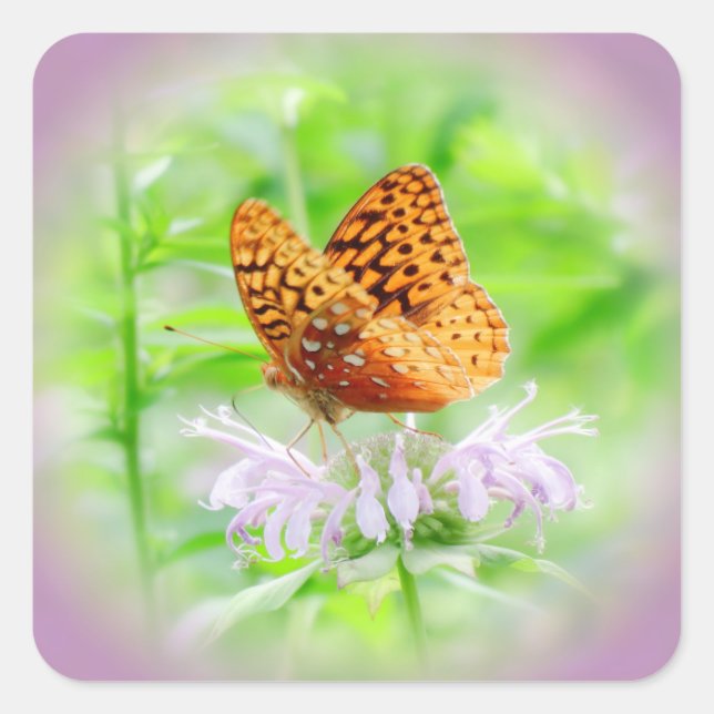 Cuadrada Sueño Fritillary - Pegatina diurno (Anverso)