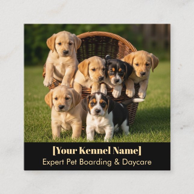 Cuadrada Tarjeta de visita de Kennel personalizable (Anverso)