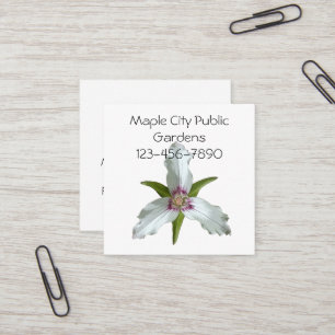 Cuadrada Tarjeta de visita Trillium Spring Wildflower