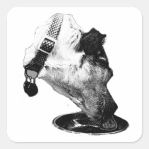 Cuadrada Thirsty Terrier Mix Vinyl Pegatina