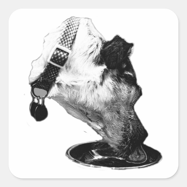 Cuadrada Thirsty Terrier Mix Vinyl Pegatina (Anverso)