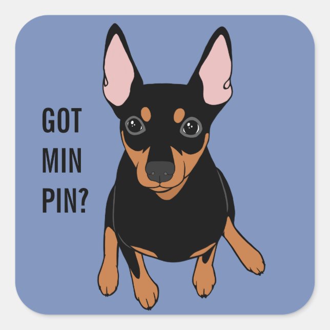 Cuadrada ¿Tienes Min Pin? Pegatina Miniature Pinscher (negr (Anverso)