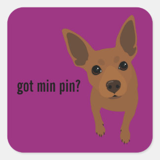 Cuadrada ¿Tienes Min Pin? Pegatina Miniature Pinscher (rojo