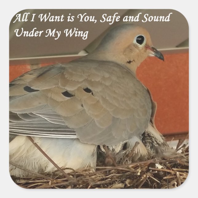 Cuadrada Todo lo que quiero es tu Pegatina de RoseWrites (Anverso)