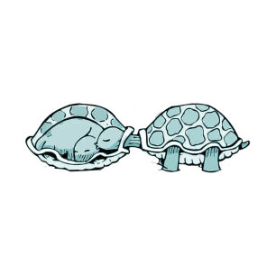 Cuadrada tortuga pegatina