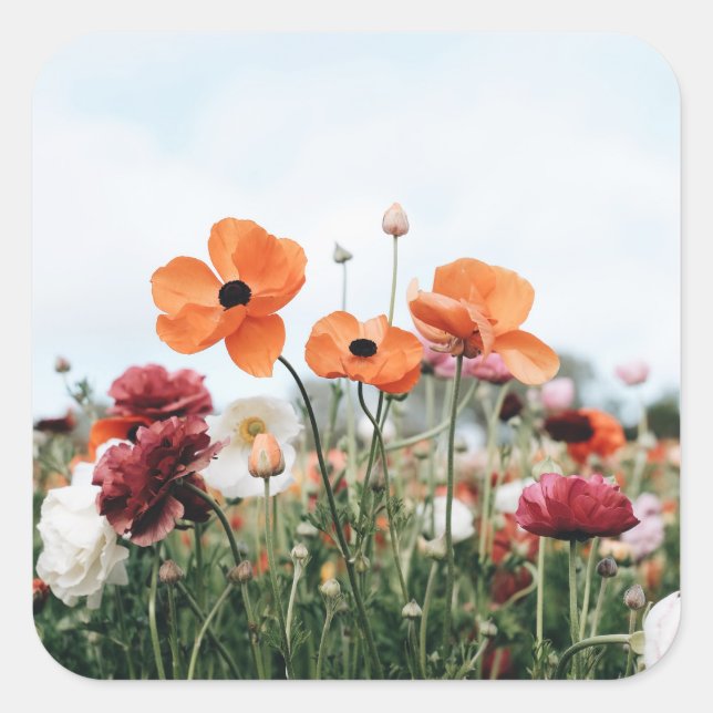 Cuadrada Trío de Flores Pegatina (Anverso)