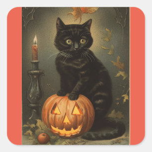 Cuadrada Vintage Halloween Kitten Pegatina