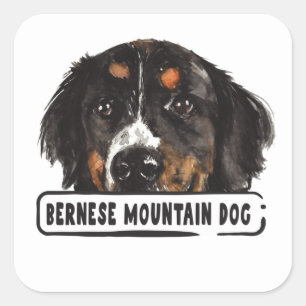 Cuadrada Watercolor Bernese Mountain Dog Square Pegatina