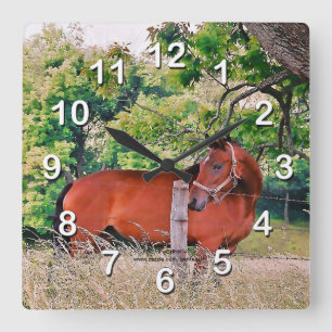 Cuadrado Caballo por el reloj de la Cerca-Pared
