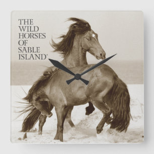 Cuadrado Caballos salvajes del reloj de la isla del Sable