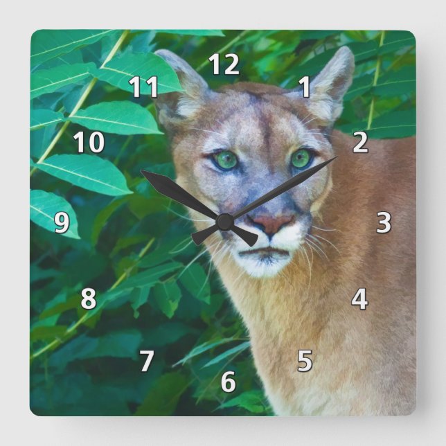 Cuadrado Cougar en el reloj de la jungla (Anverso)