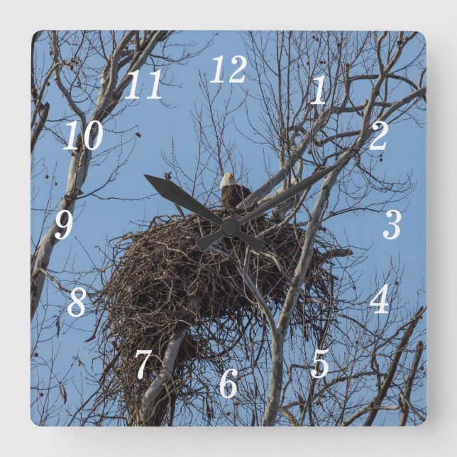 Cuadrado Cuidando el reloj de la pared del águila (Anverso)