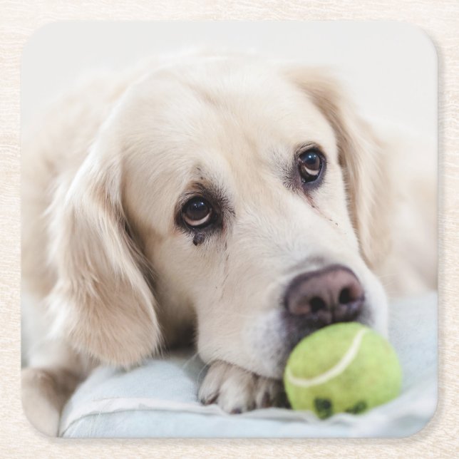 Cuadrado De Papel Posavasos Cute Dog 7 (Anverso)