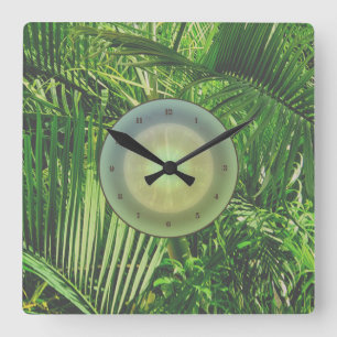 Cuadrado 🌴 del reloj de la jungla de PalmTrees
