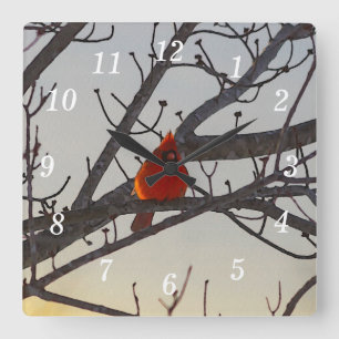 Cuadrado El Cardenal En El Reloj Del Muro De La Mañana