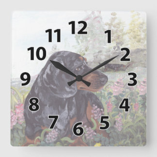 Cuadrado El Dachshund dapple el reloj del soñador del