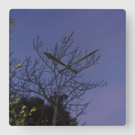 Cuadrado ESTILO Y DISEÑO DEL Reloj