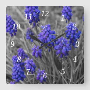 Cuadrado Familia de jacintos de uva Seleccionar reloj de pa