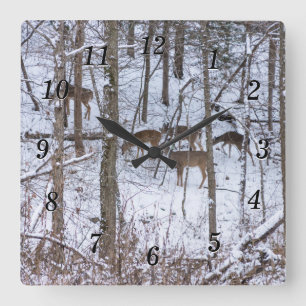 Cuadrado Familia Deer En El Reloj De La Muralla De Nieve