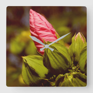 Cuadrado Flor rosa Bud Floral Jardín Foto Reloj