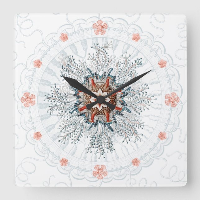 Cuadrado Galletita con botón azul y estrellas del mar Reloj (Anverso)