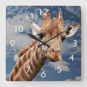 Cuadrado Giraffe y reloj de fotos cielo azul