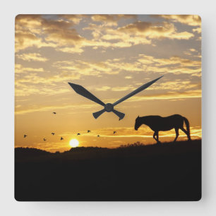 Cuadrado Hermoso caballo en el reloj del atardecer