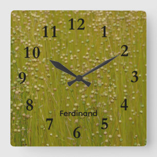 Cuadrado Jardín verde y amarillo de los loros Reloj cuadrad
