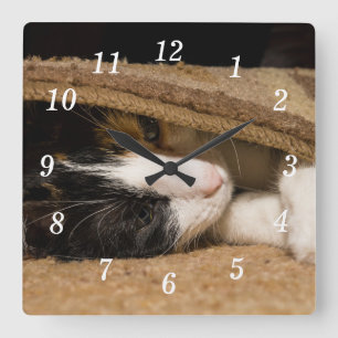 Cuadrado Jugando Debajo Del Reloj De Muro De Alfombra