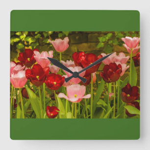 CUADRADO LA FLORACIÓN DE TULIPANES EN UN PARQUE RELOJ DE PA