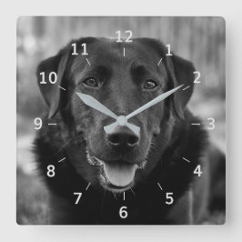 Cuadrado Mascota de fotografía de Labrador negro reloj de p