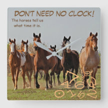 No necesite ningún reloj