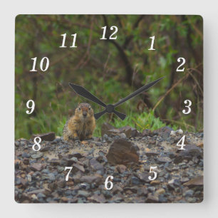 Cuadrado Paraguas por favor pared reloj