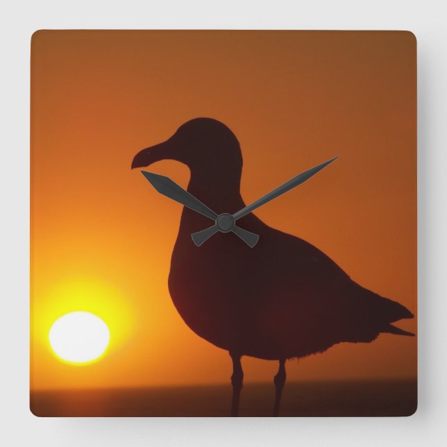 Cuadrado Paz del reloj de la mente en Wall (Anverso)