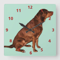 Personalizable del reloj del perro del labrador