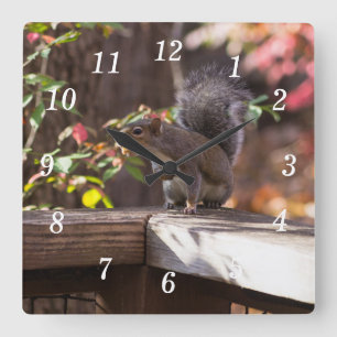 Cuadrado ¿Quién va allá del reloj de pared?