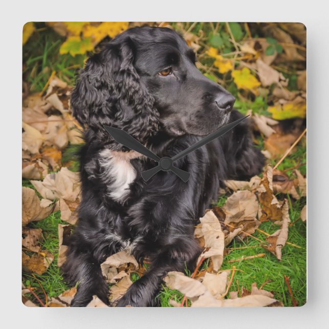 Cuadrado Reloj (Anverso)