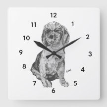 Reloj : Amor De Un Perro