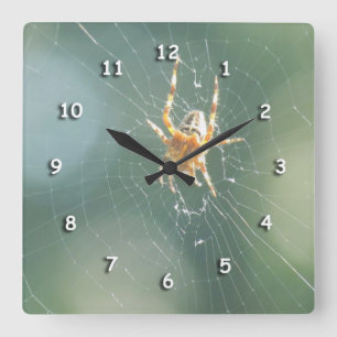 Cuadrado Reloj - araña en el Web