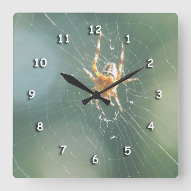 Cuadrado Reloj - araña en el Web (Anverso)