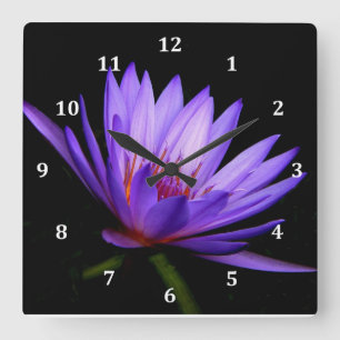 Cuadrado Reloj cuadrado, lado oscuro de la Lily del Agua Pú