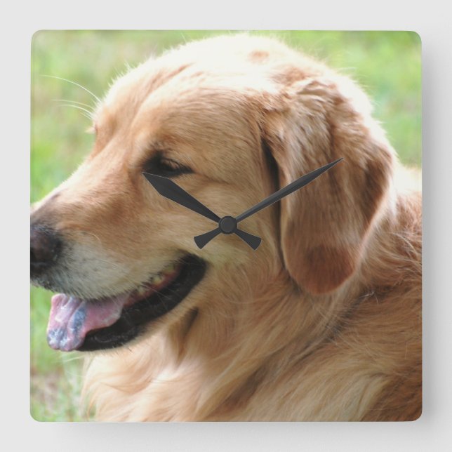 Cuadrado Reloj de apertura de Golden Retriever (Anverso)