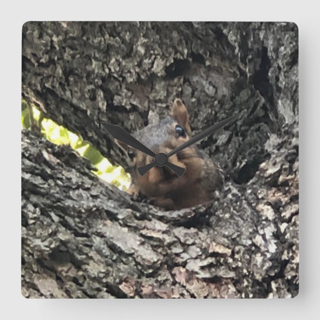 Cuadrado Reloj de ardilla (Anverso)