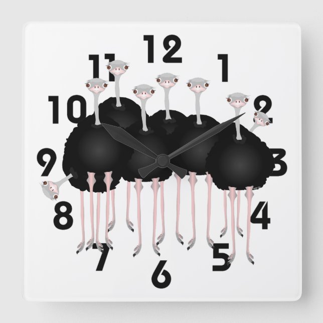 Cuadrado Reloj de avestruz (Anverso)