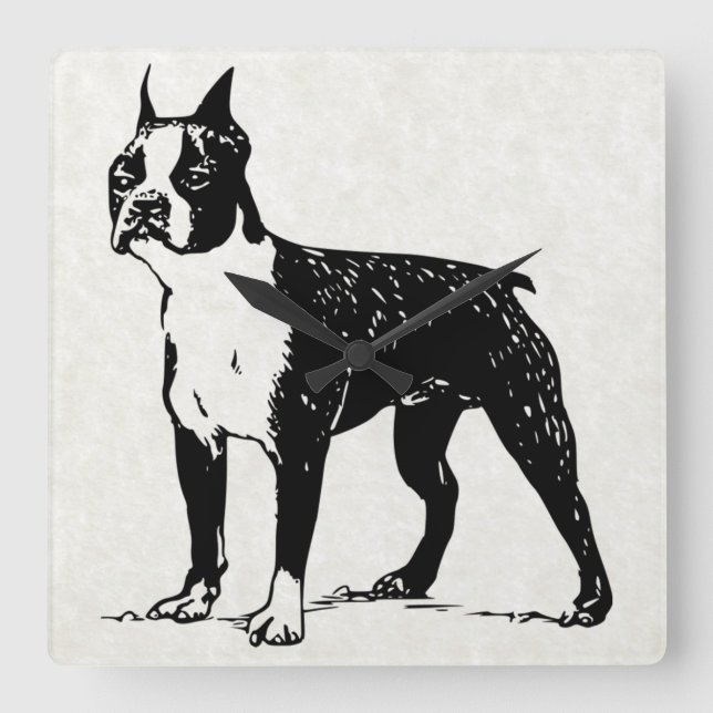 Cuadrado reloj de boston terrier (Anverso)