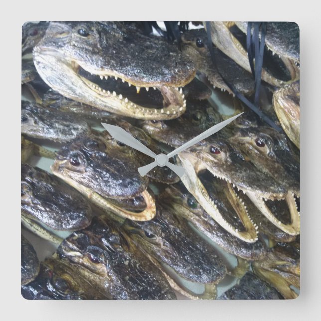 Cuadrado Reloj de cabeza de gator (Anverso)