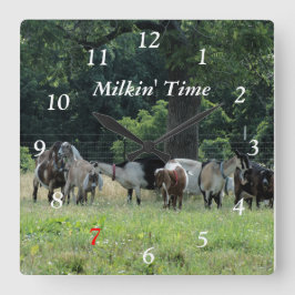 Cuadrado Reloj de cabras lecheras- tamaño elegido por el pe