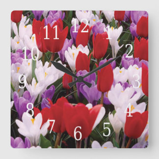 Cuadrado Reloj de coloridas flores de tulipano