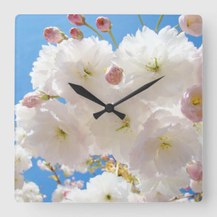 Cuadrado Reloj de flor de árbol de primavera blanca esponjo